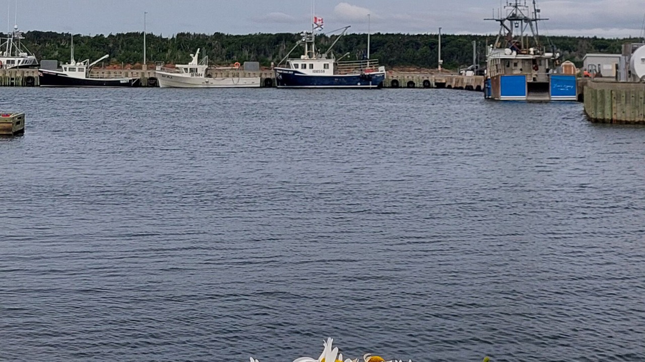 Photo of Others in Cheticamp