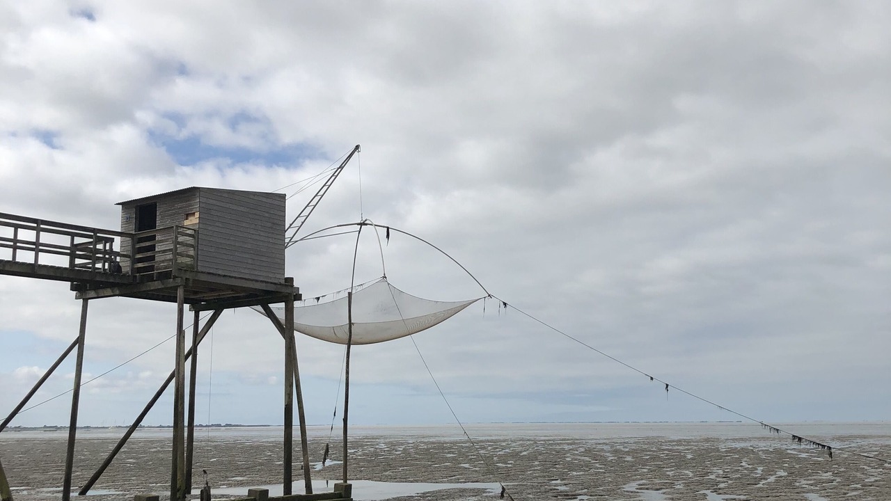 Photo of Others in Saint-Brevin-l'Ocean