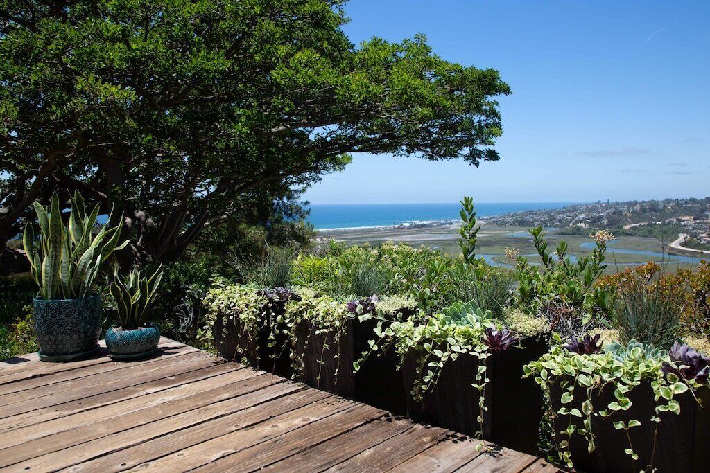Photo of Others in Solana Beach