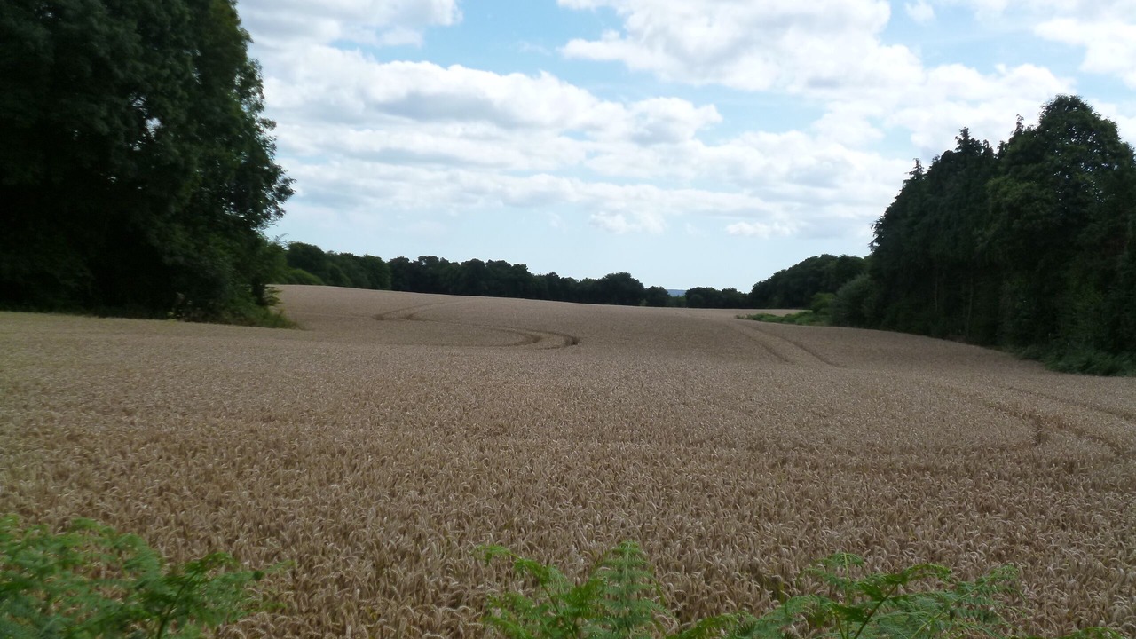 Photo of Others in Bieuzy