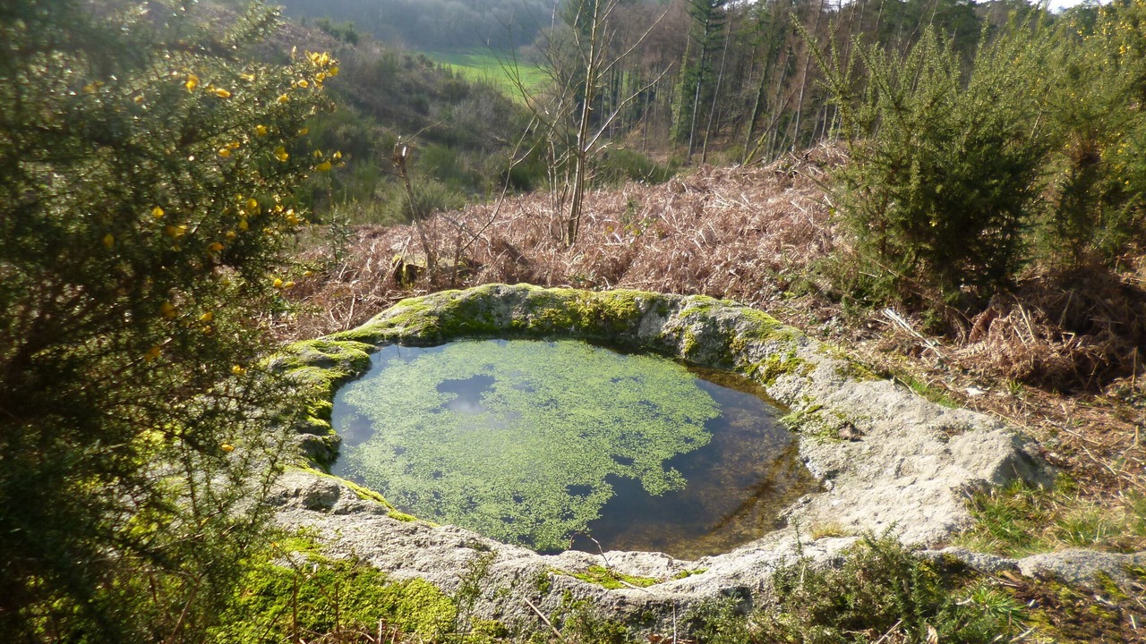 Photo of Outdoor in Bieuzy