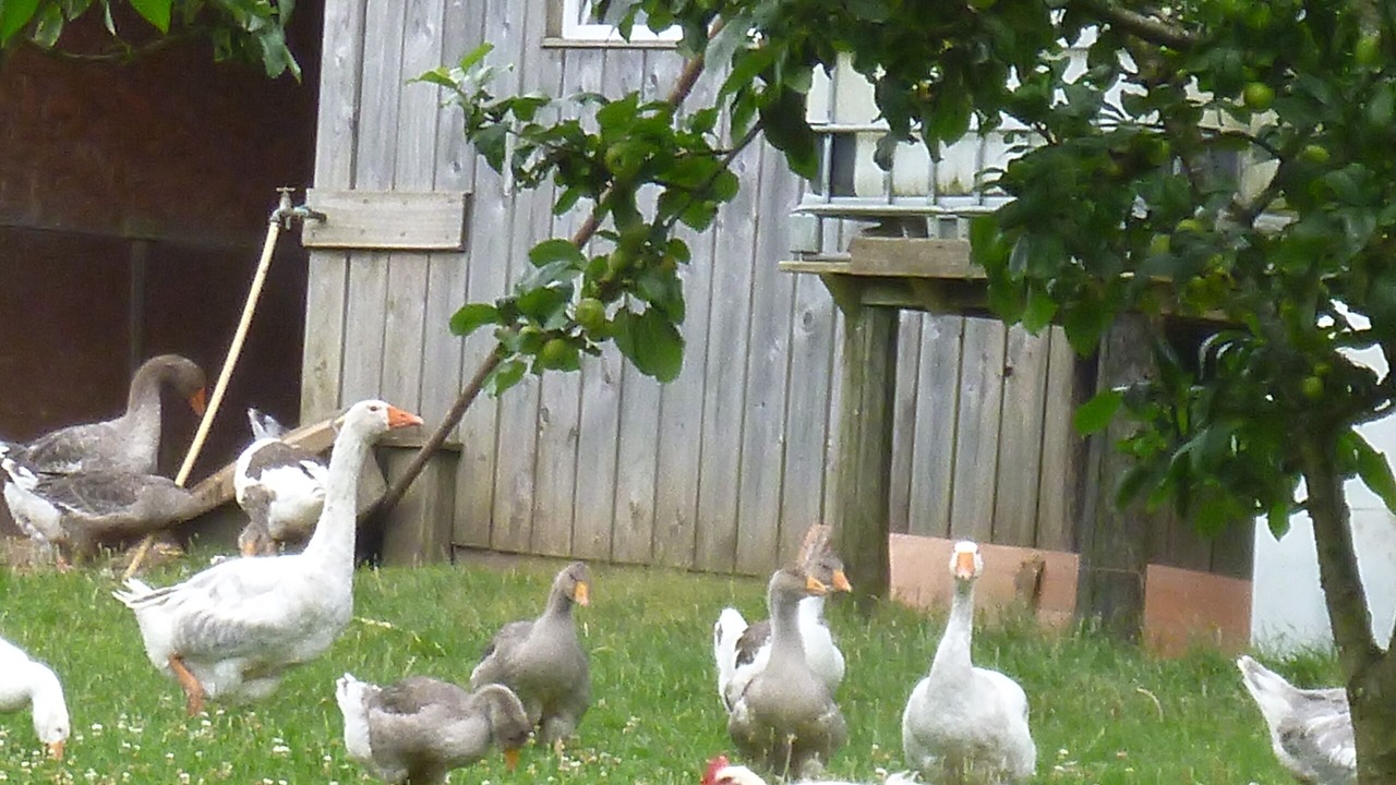 Photo of Outdoor in Bieuzy