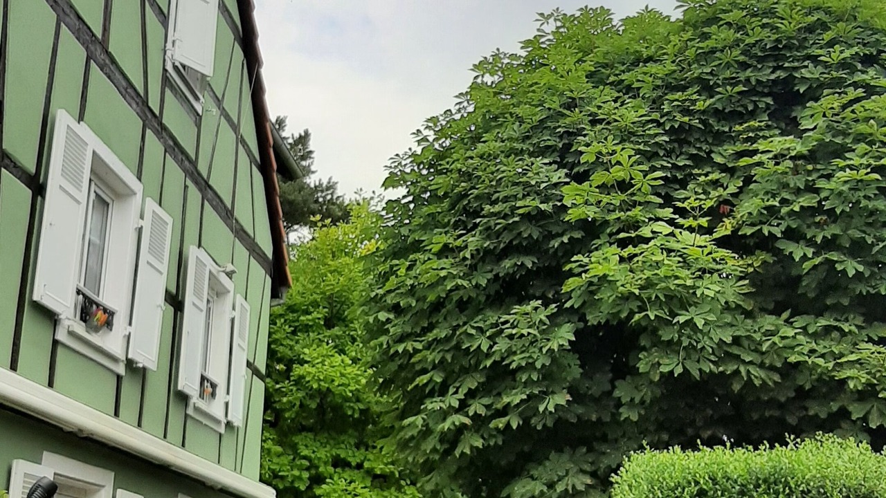 Photo of Outdoor in Cronenbourg Est