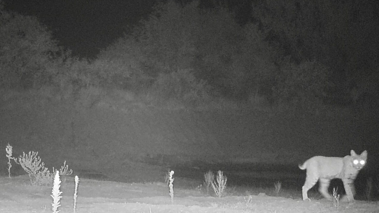 Photo of Others in McNeal
