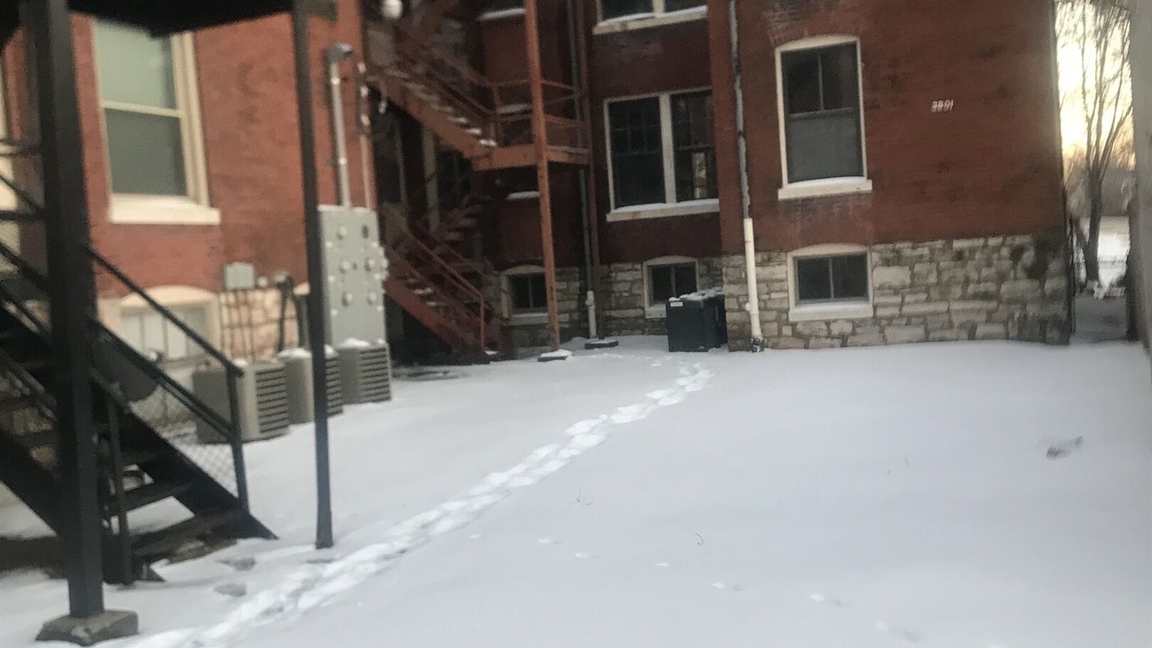 Photo of Others in St. Louis