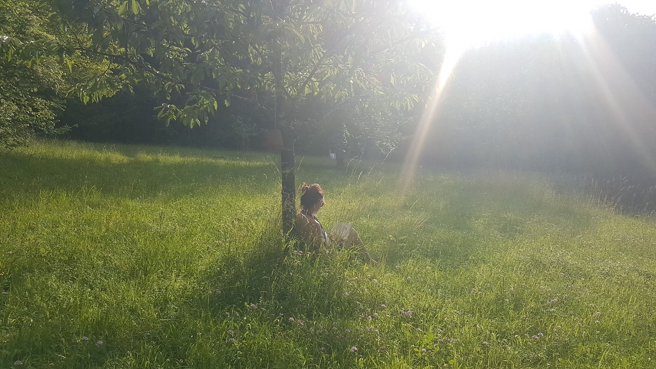 Photo of Others in Sougeres-en-Puisaye