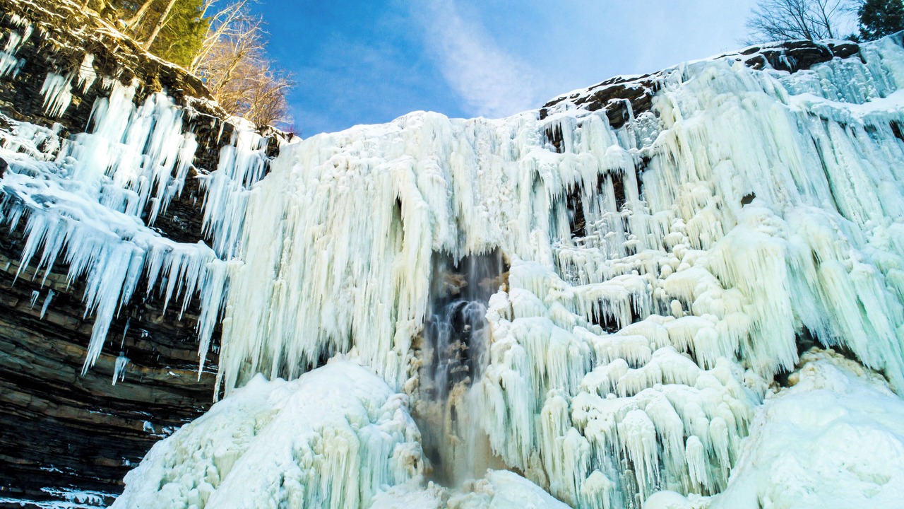 Photo of Others in Altmar