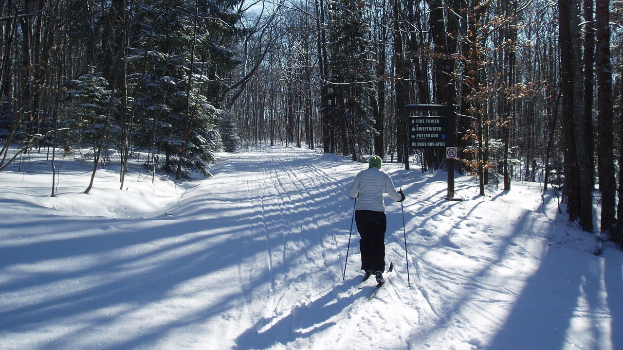 Photo of Others in Altmar