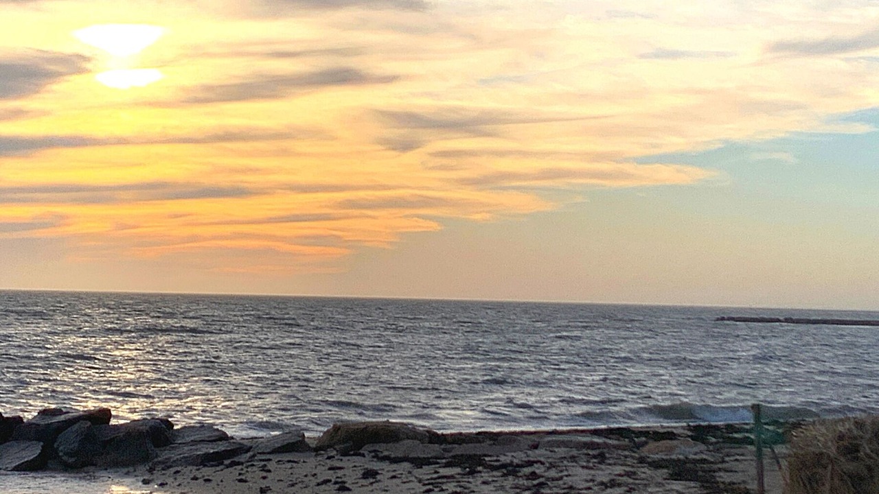 Photo of Others in South Chatham