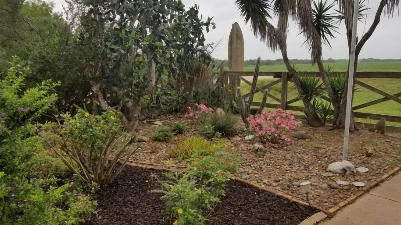Photo of Outdoor in Rio Hondo