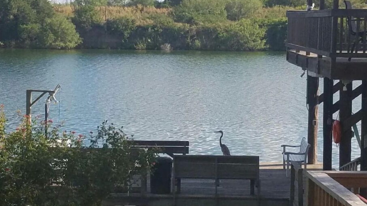 Photo of Outdoor in Rio Hondo