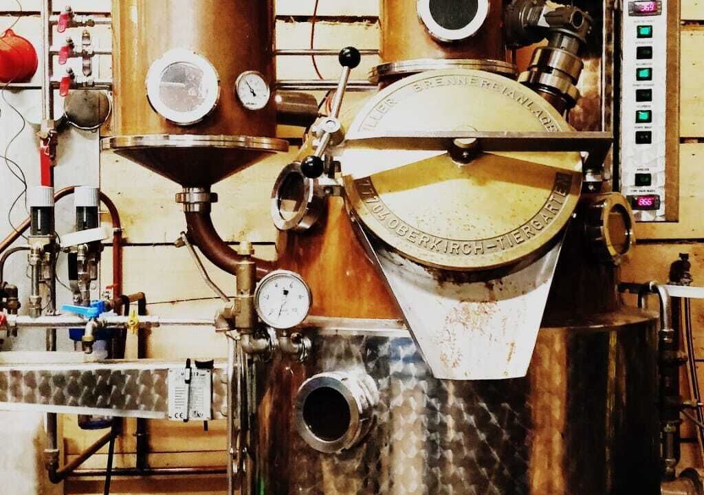 Photo of Others in Mottier