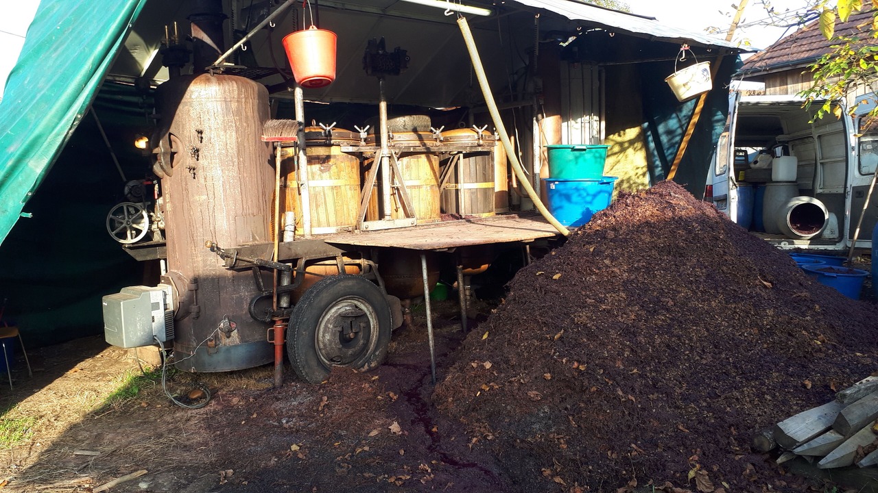 Photo of Outdoor in Mottier