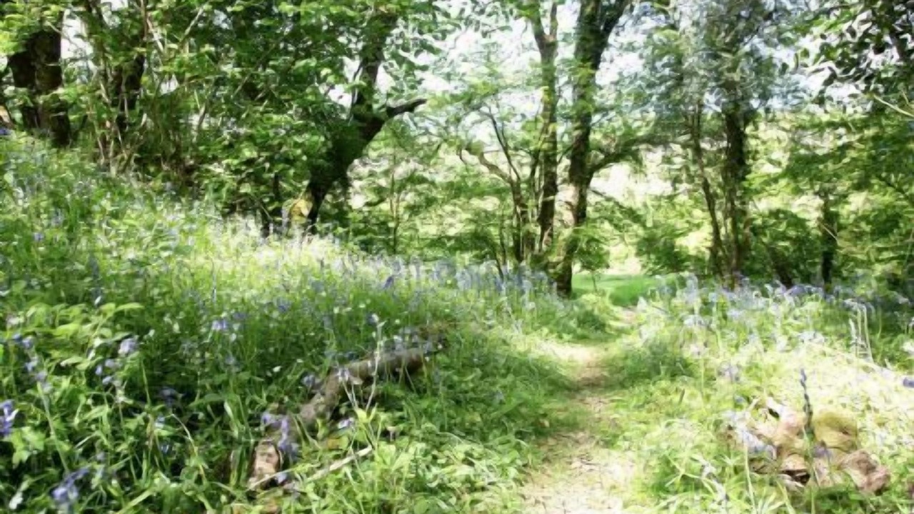 Photo of Others in Vobster