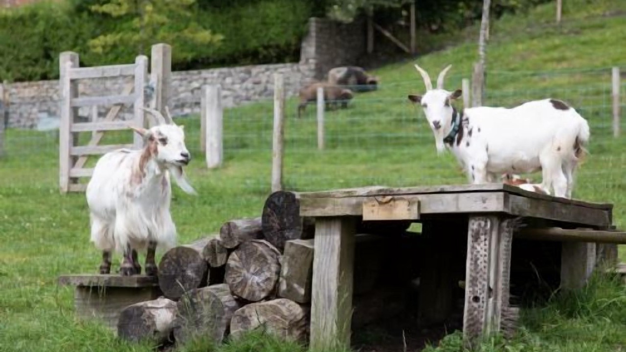 Photo of Others in Vobster