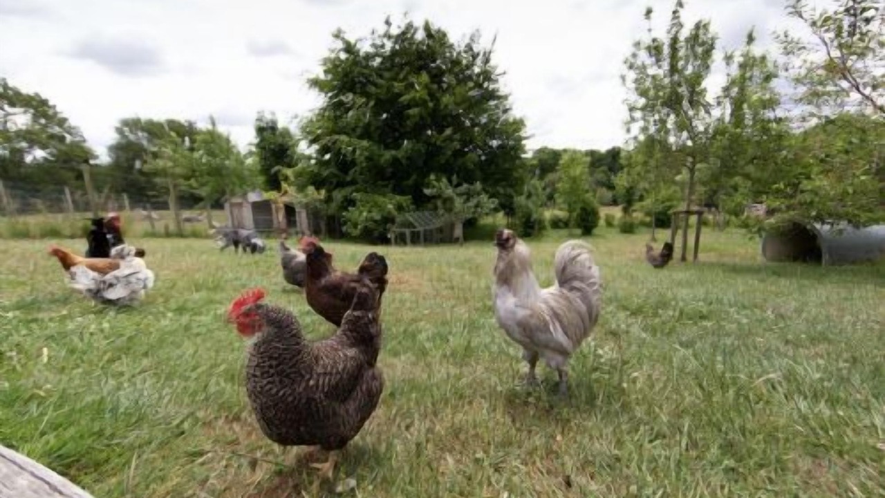 Photo of Others in Vobster