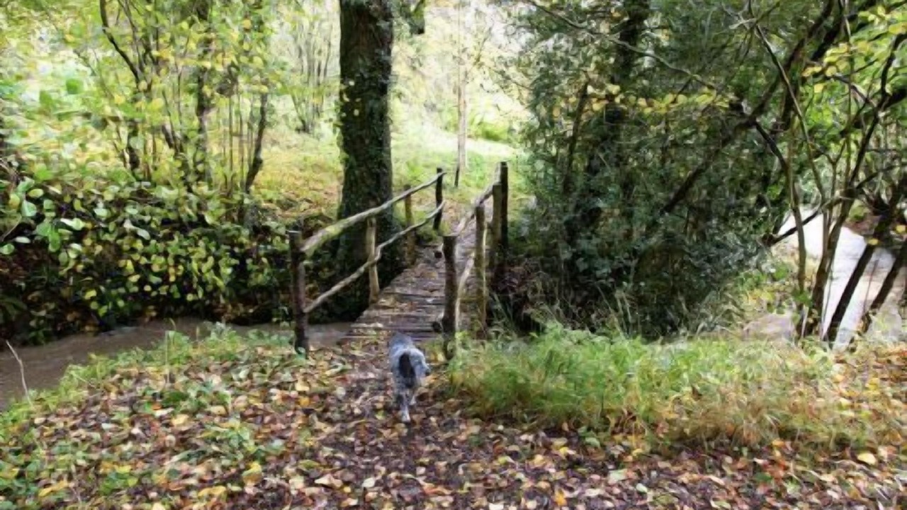 Photo of Others in Vobster