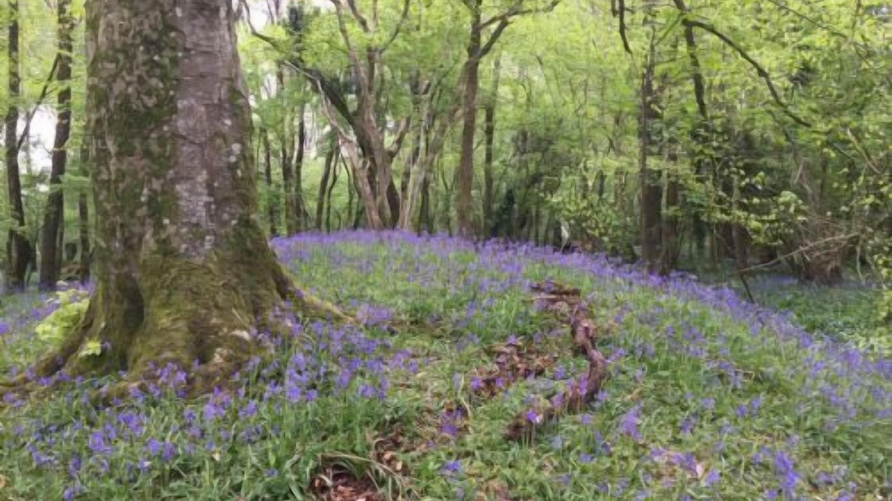 Photo of Others in Vobster