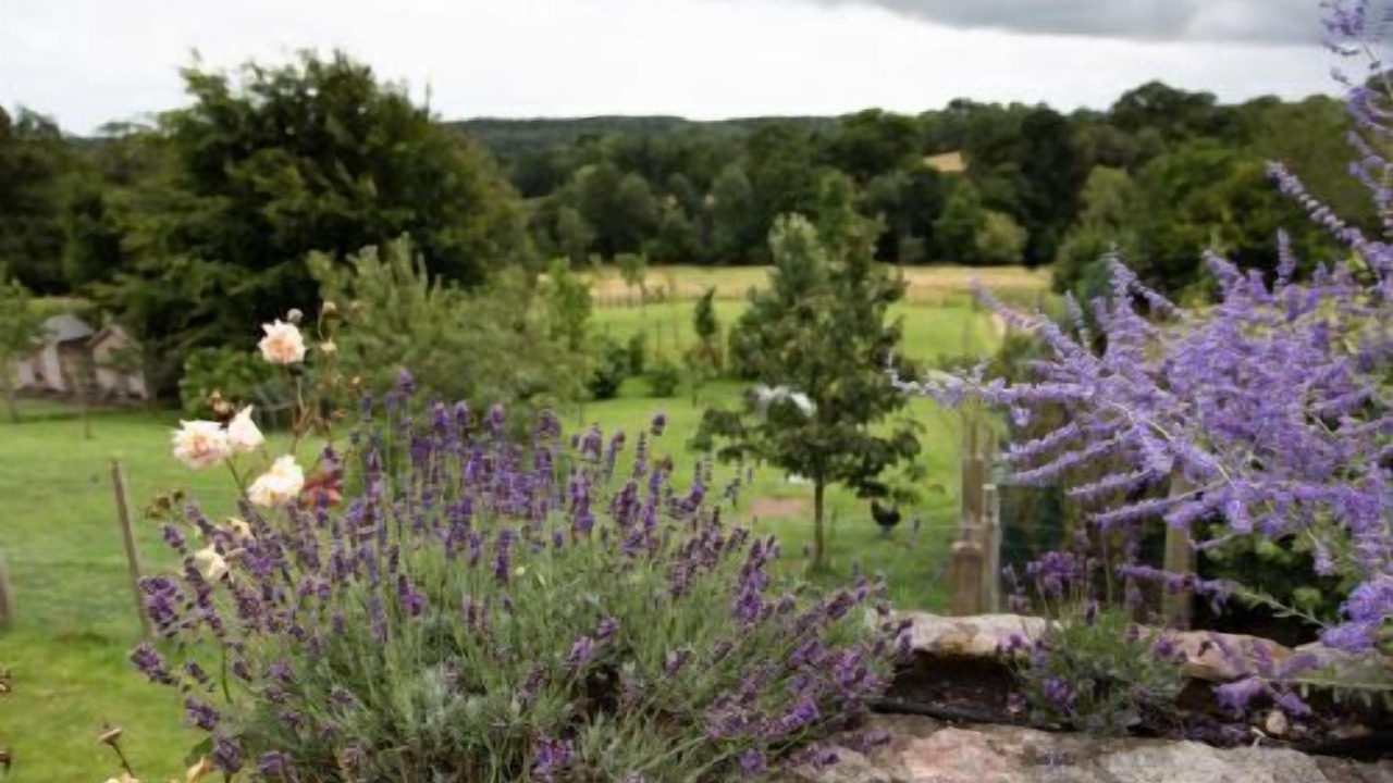 Photo of Others in Vobster