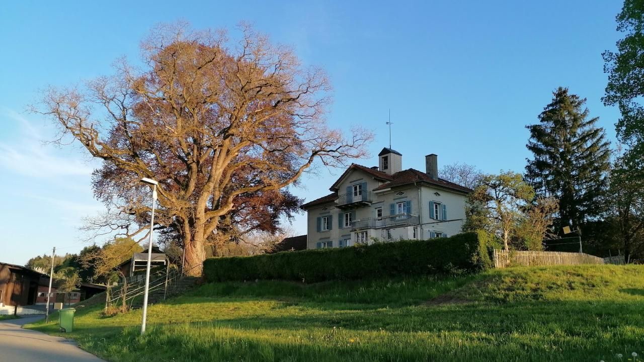 Photo of Others in Bottighofen
