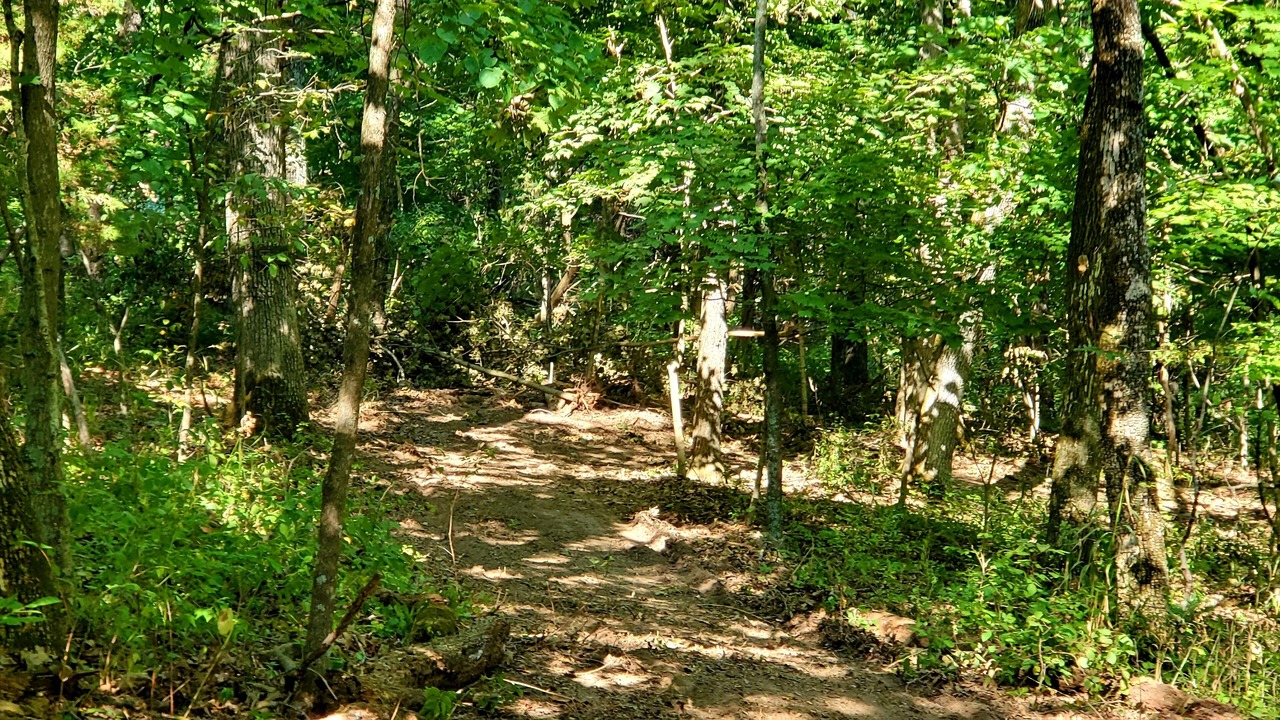 Photo of Others in Marthasville