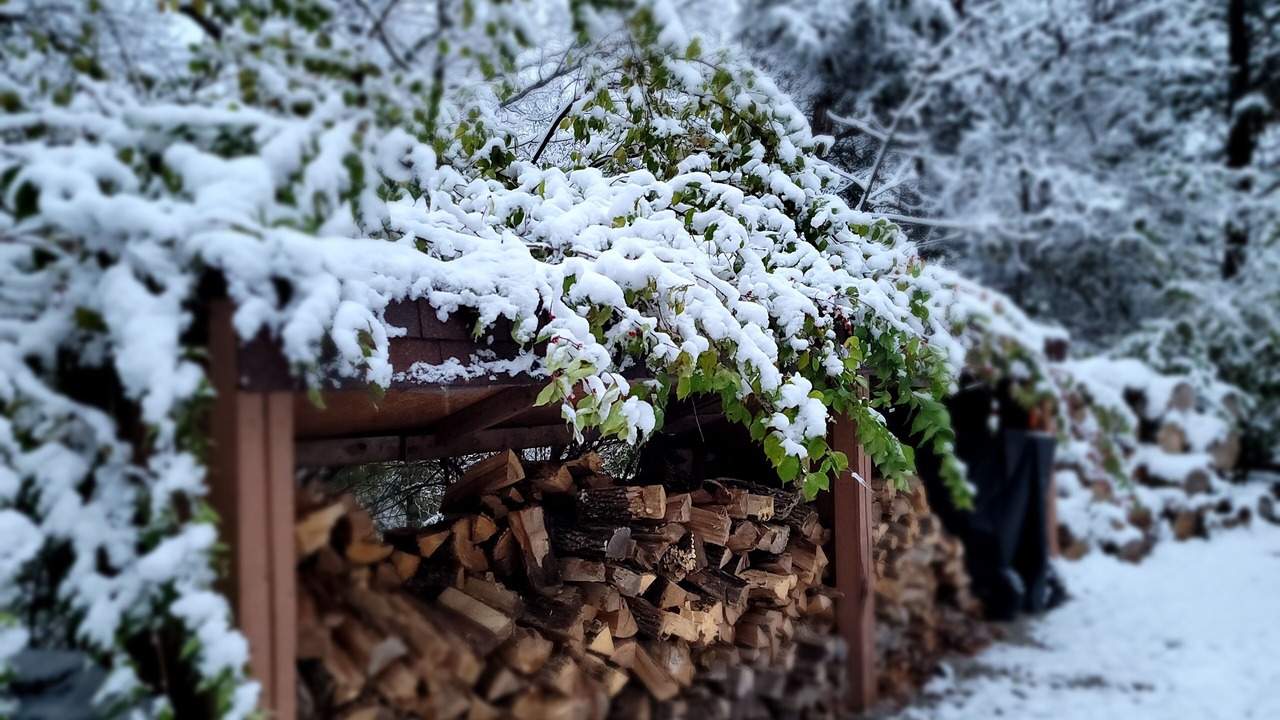 Photo of Outdoor in Marthasville