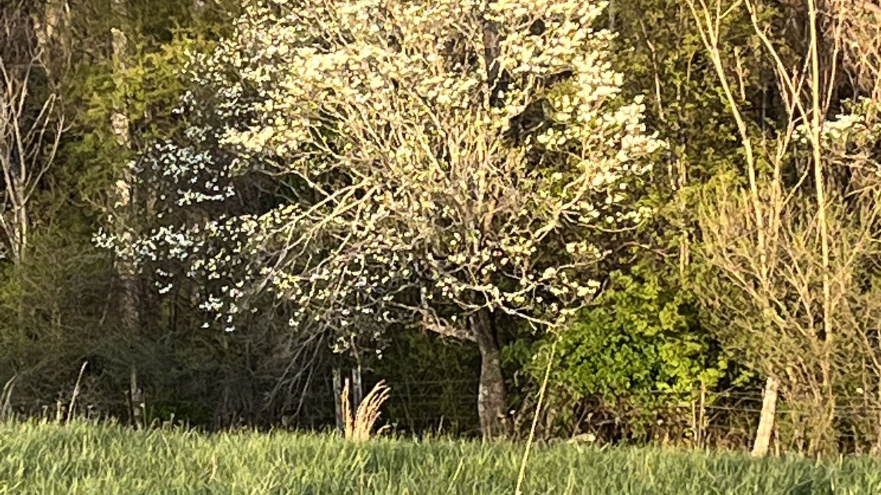 Photo of Outdoor in Floyd