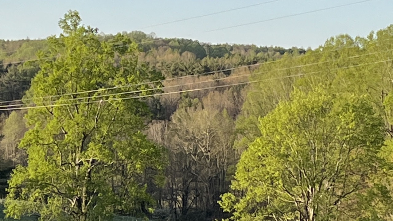 Photo of Outdoor in Floyd