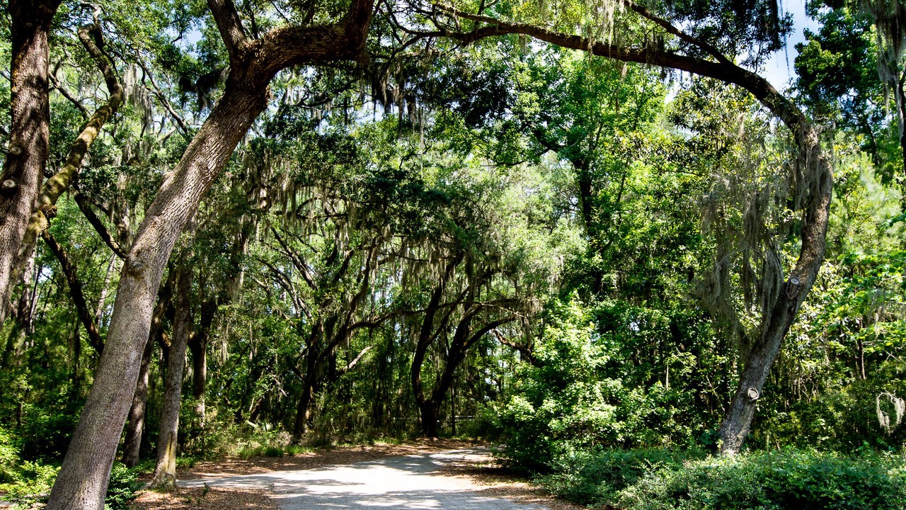 Photo of Outdoor in Beaufort
