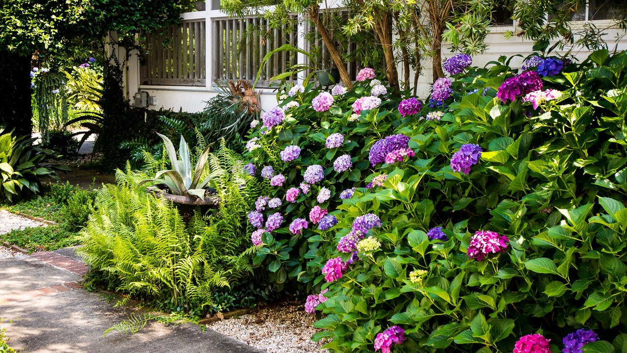 Photo of Outdoor in Beaufort