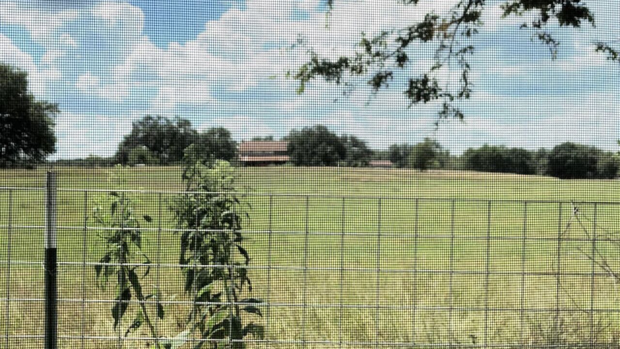 Photo of Outdoor in Albert