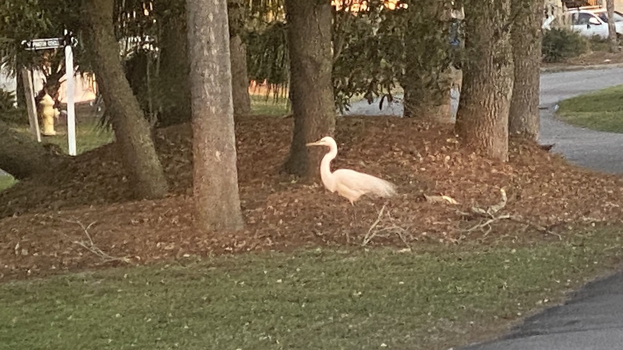 Photo of Outdoor in Beachwalk