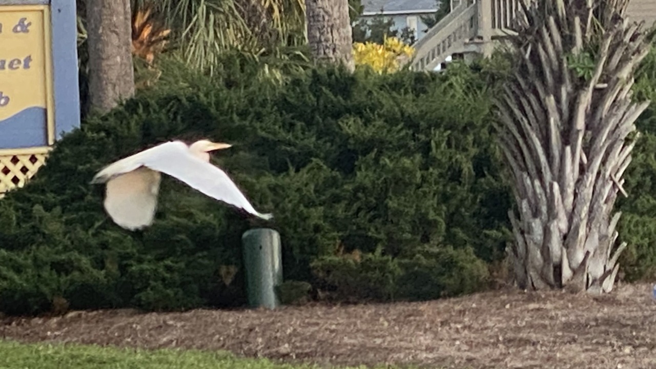 Photo of Outdoor in Beachwalk