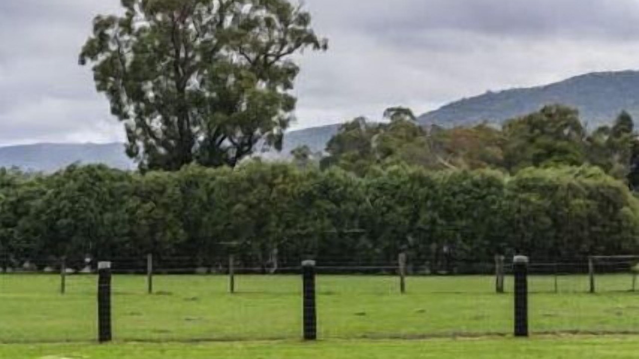 Photo of Others in Yarra Junction