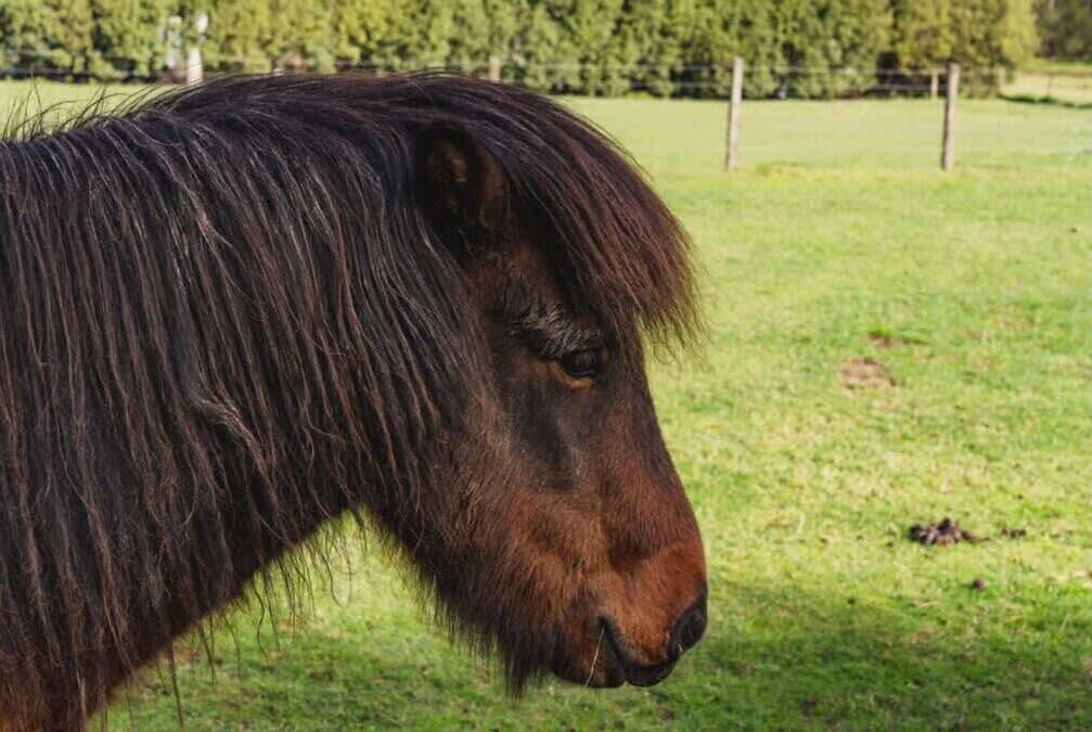 Photo of Others in Yarra Junction