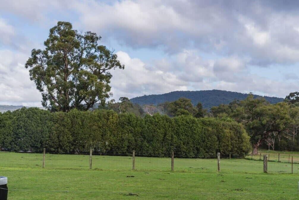 Photo of Others in Yarra Junction