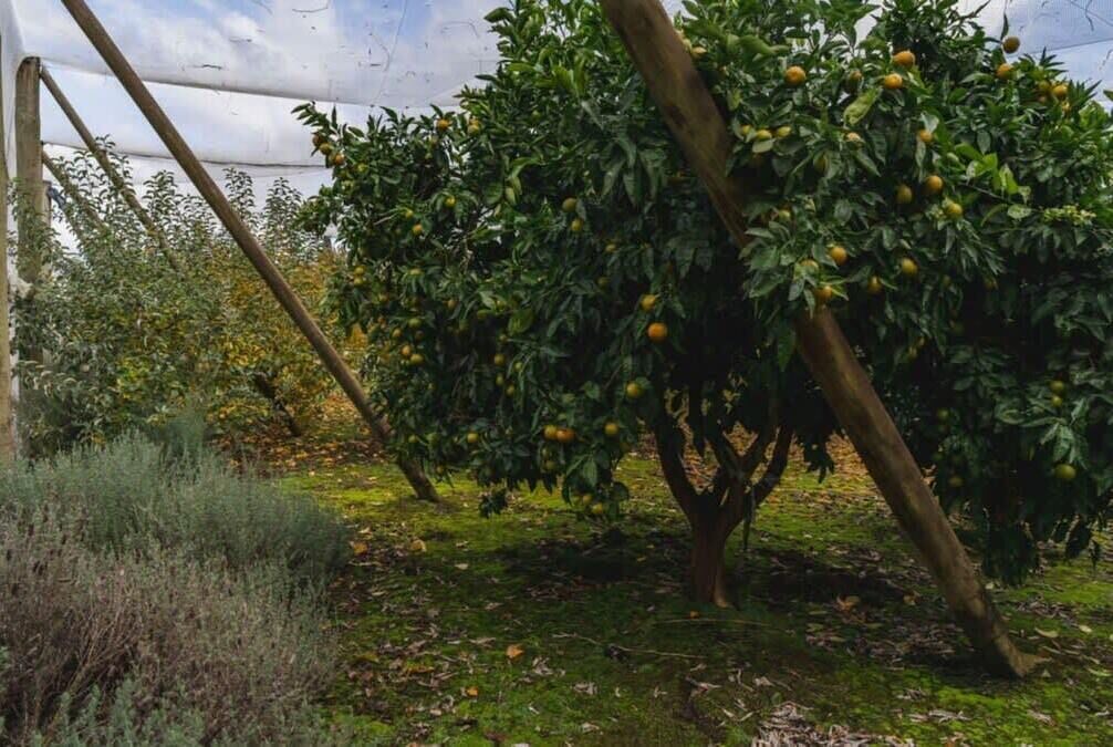 Photo of Outdoor in Yarra Junction