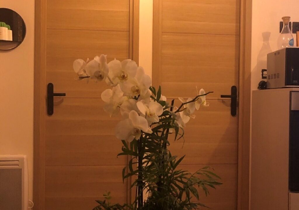 Photo of Others in La Colle-sur-Loup