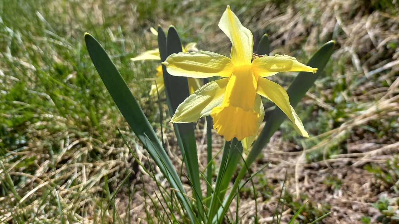 Photo of Outdoor in Alt Aneu