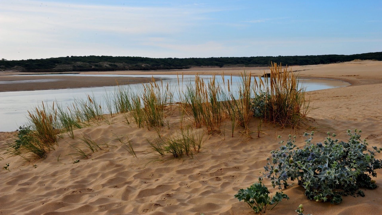 Photo of Others in Jard-sur-Mer