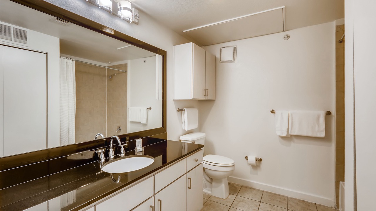 Photo of Bathroom in Travis Heights