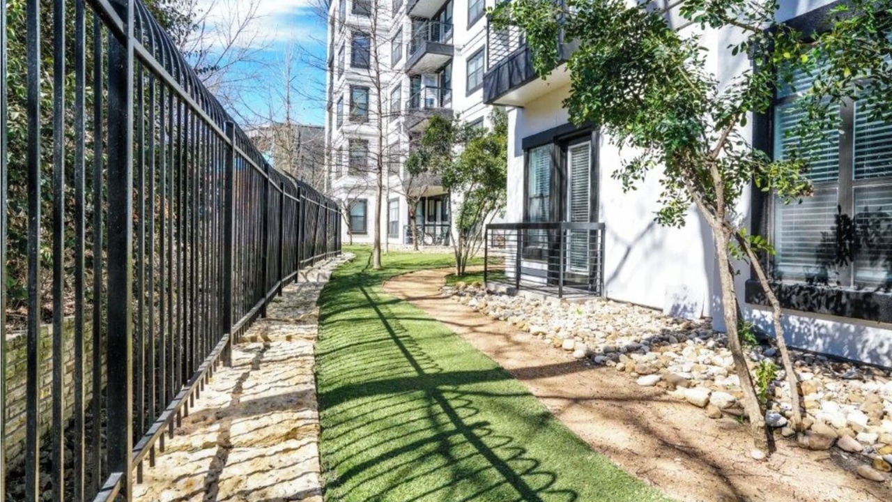Photo of Outdoor in Travis Heights