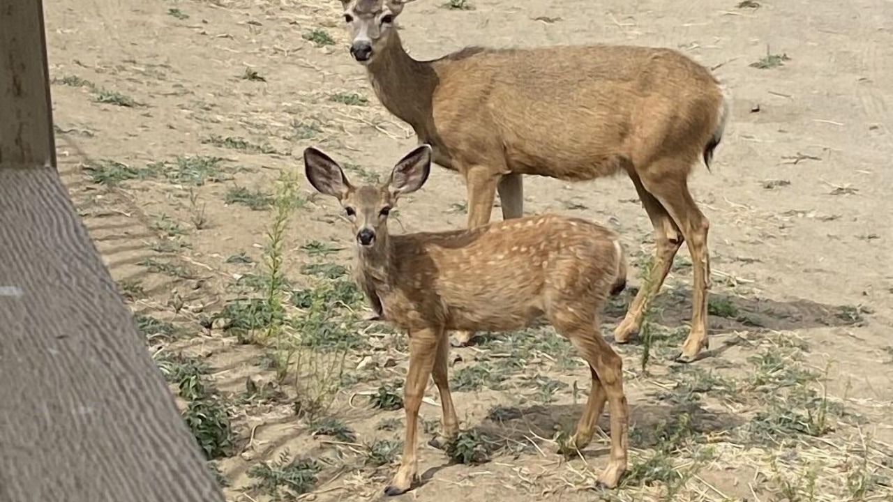 Photo of Others in Davenport
