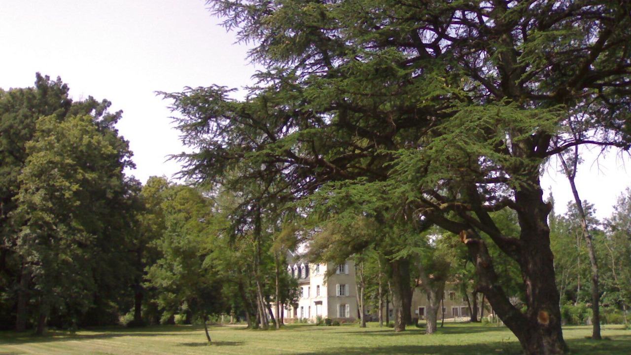 Photo of Others in Cambounet-sur-le-Sor