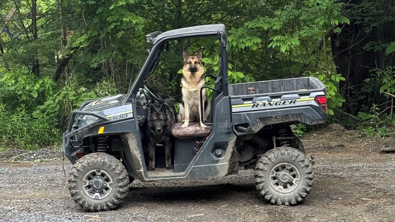 Photo of Others in St. Johnsbury
