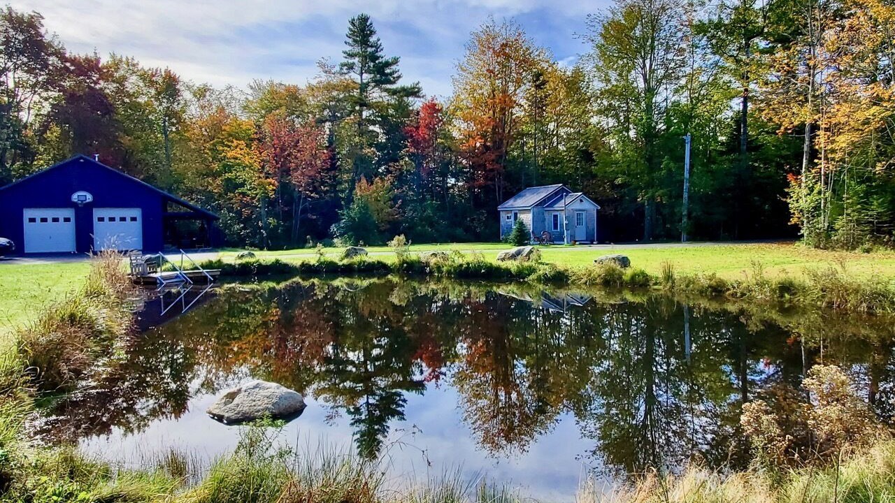 Photo of Others in Belfast