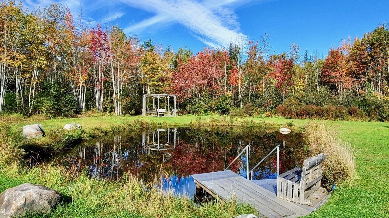 Photo of Others in Belfast