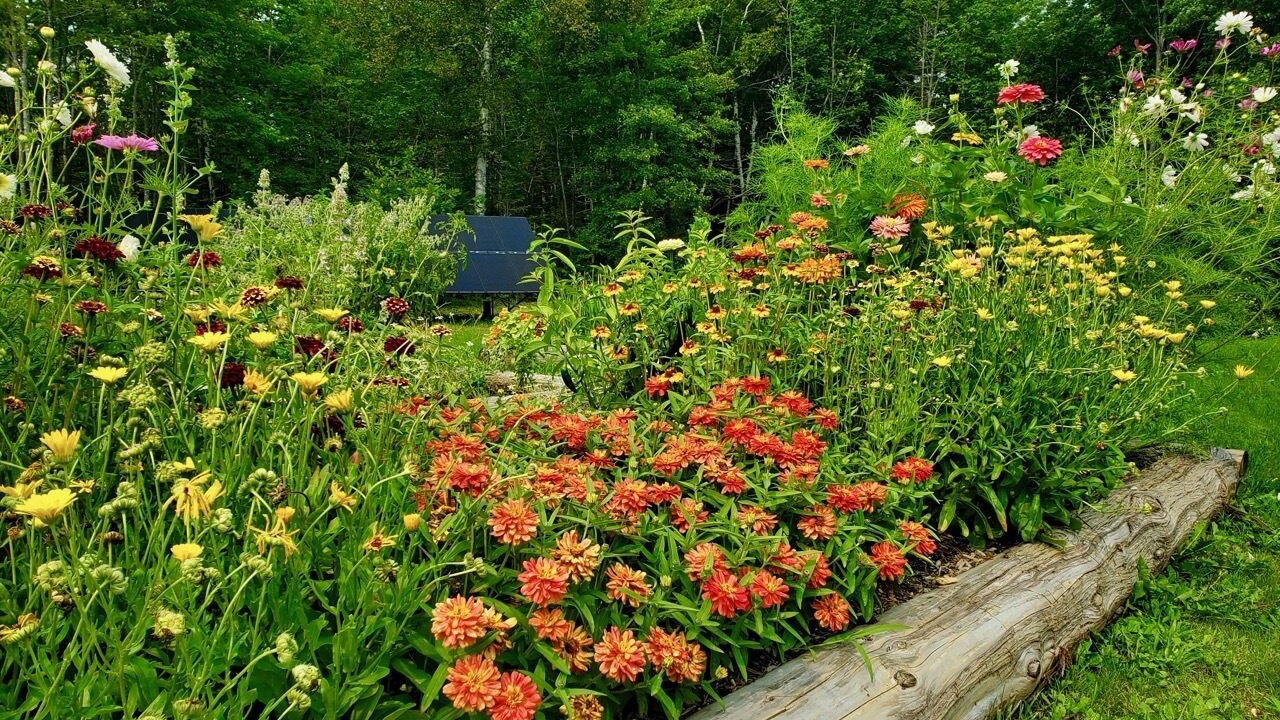 Photo of Others in Belfast