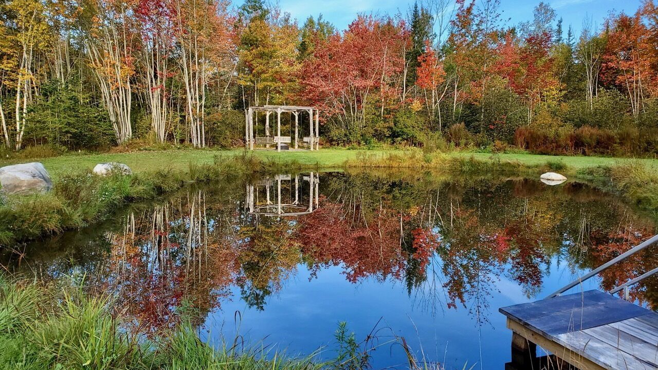Photo of Outdoor in Belfast