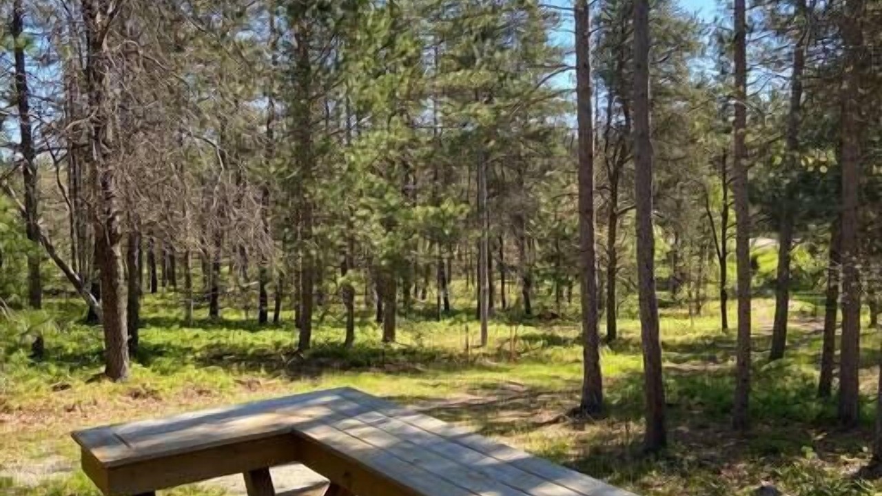 Photo of Outdoor in Grayling